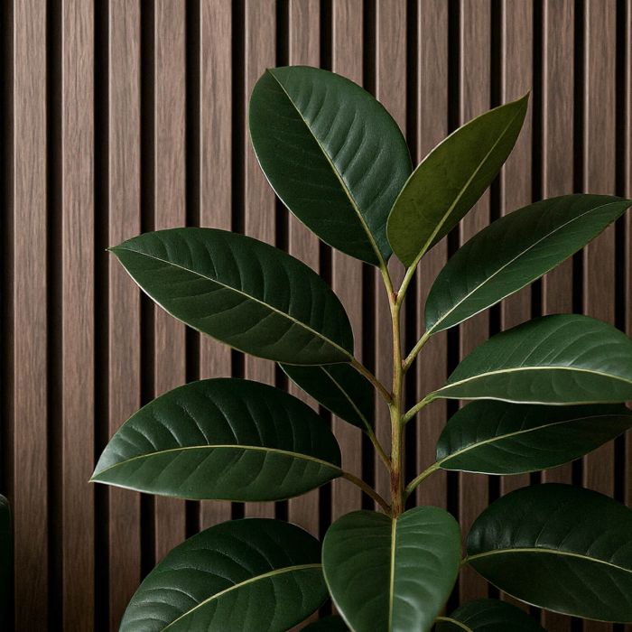 Lamele ścienne akustyczne na filcu Dąb Rustykalny 2,1 x 30,5 cm – dł. 2,7 m