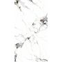 Wall Panel SPC Carrara White Marble Glossy 120 x 280 cm 4 mm (B)