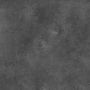 Wall Panel SPC Limestone Black Stone Matt 60 x 120 4 mm
