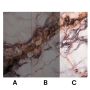 Wall Panel XXL Breccia Copper Glossy 120 x 280 cm 3 mm (C)