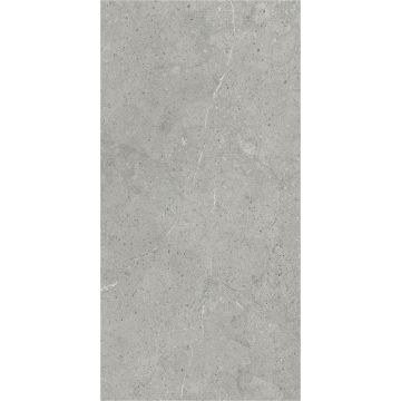 Wall Panel SPC Limestone Grey Stone Matt 60 x 120 cm 4 mm