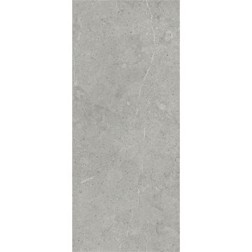 Wall Panel SPC Limestone Grey Stone Matt 120 x 280 cm 4 mm