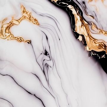 Wall Panel XXL Arabescato Gold Glossy 120 x 280 cm 3 mm (B)