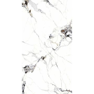 Wall Panel SPC Carrara White Marble Glossy 120 x 280 cm 4 mm (B)