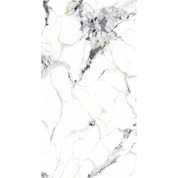 Wall Panel SPC Carrara White Marble Glossy 120 x 280 cm 4 mm (C)