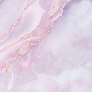 Wall Panel XXL Statuario Pink Glossy 120 x 280 cm 3 mm (A)