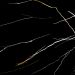 Marquina Black Marble Glossy