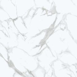 Calacatta White Marble Glossy