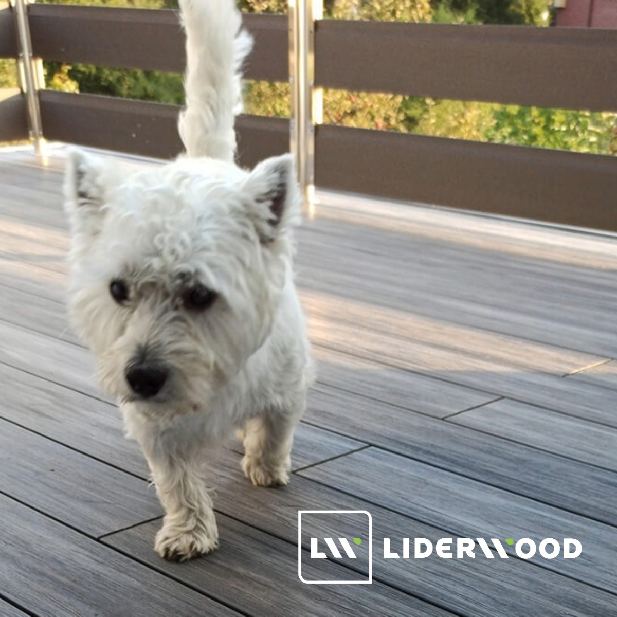 Decking Boards – Everything You Need to Know