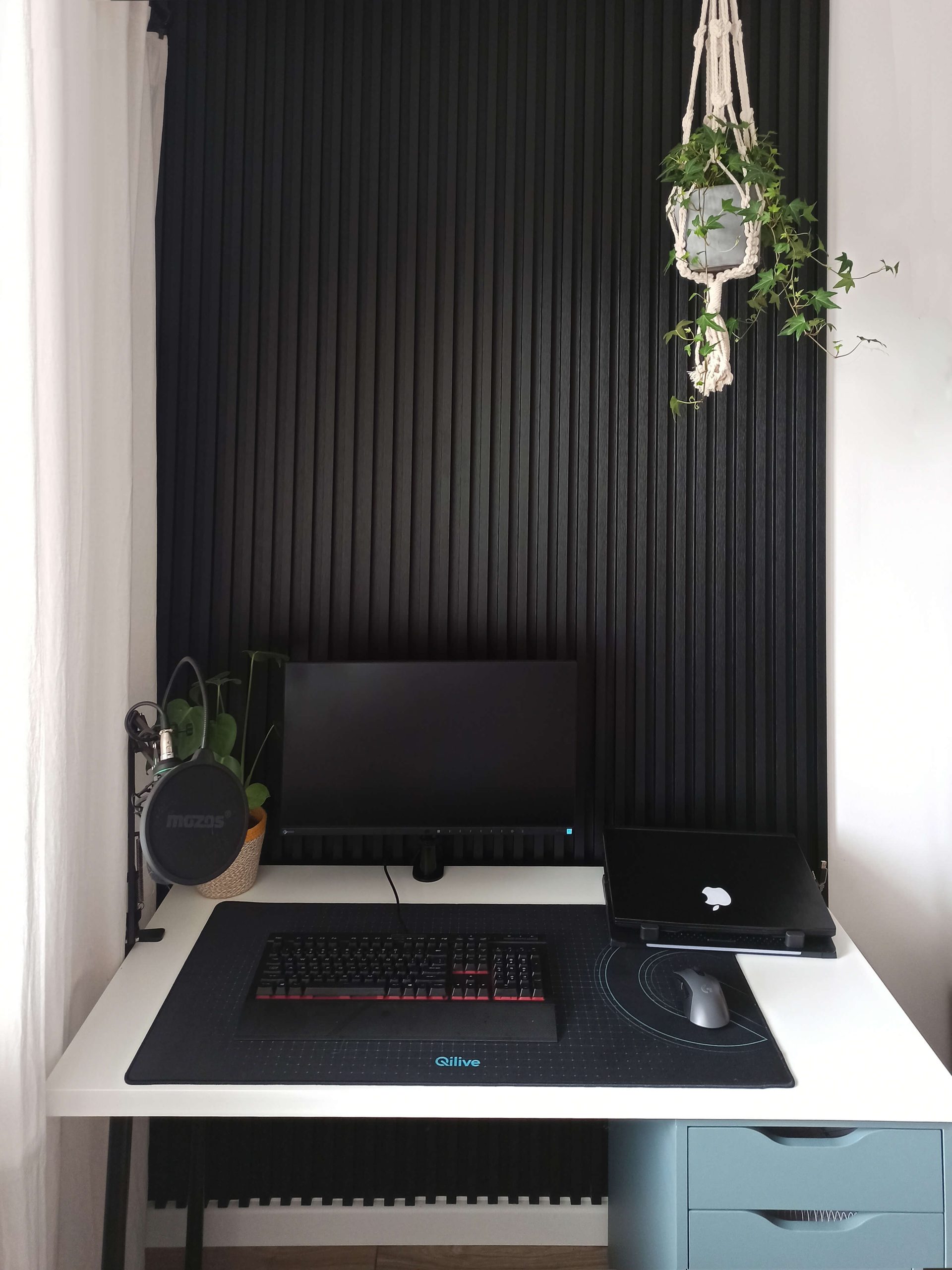 Black slats on a white wall - Decorative Wall Slats Satin Black