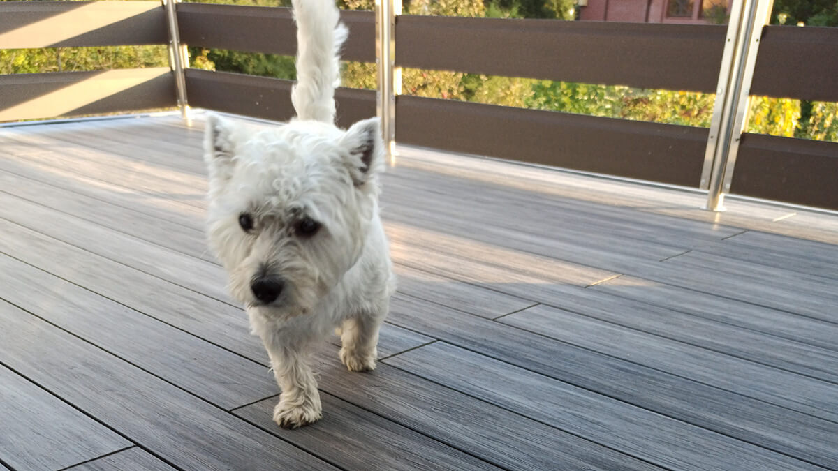Balcony and stairs - composite decking board Premium Gray