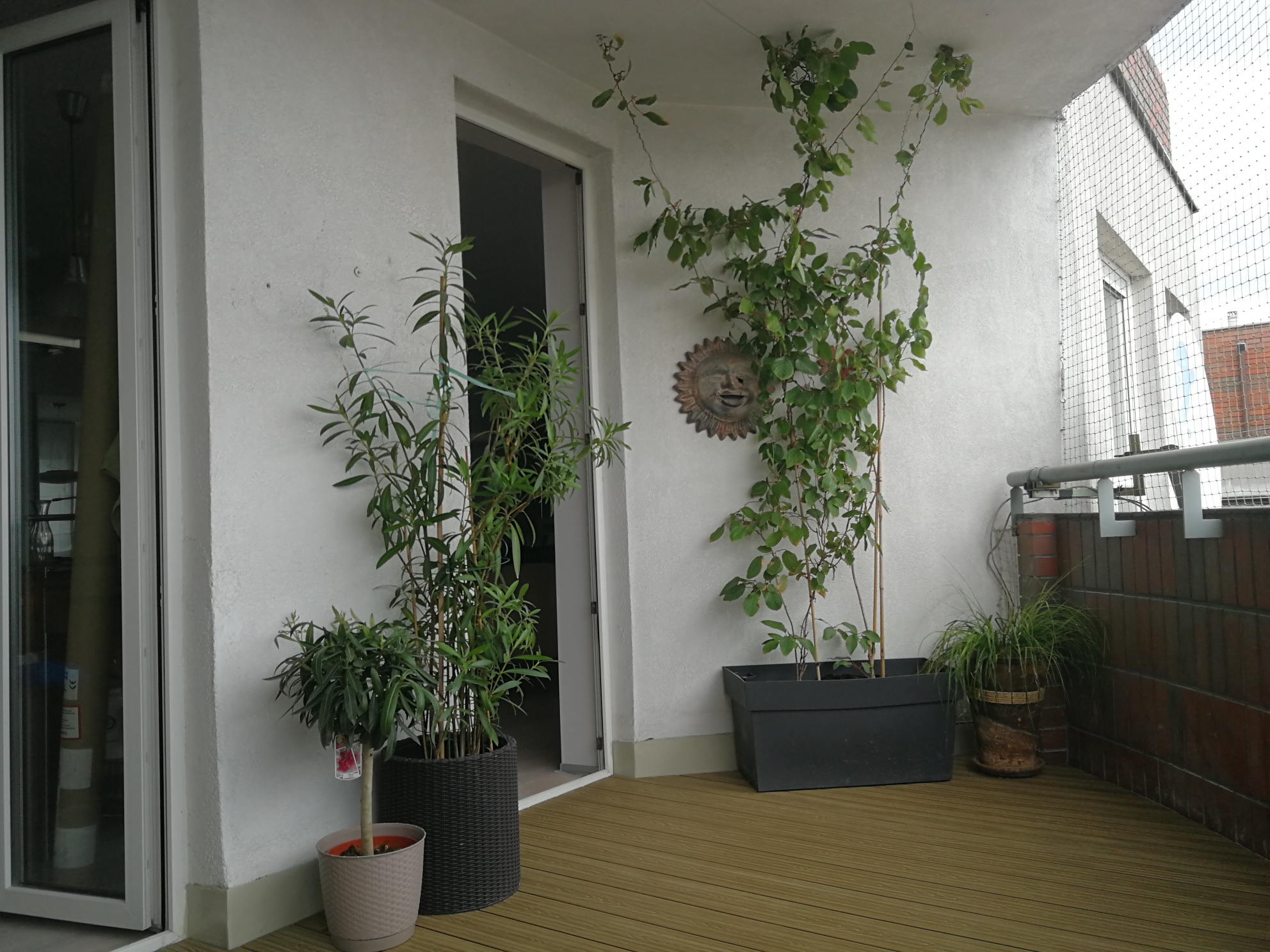 Honey Teak 3D balcony – harmony in an urban space